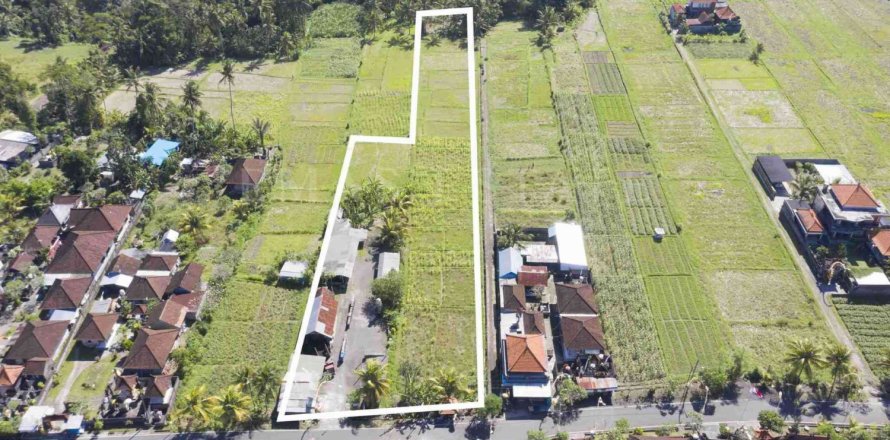 Land in Abiansemal, Badung, Bali (4777)