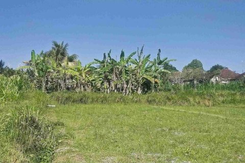 Land in Abiansemal, Badung, Bali (4777) 5