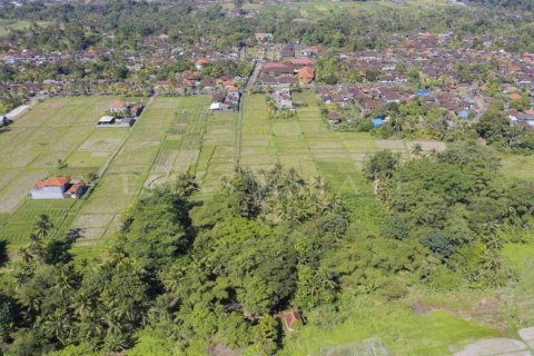 Land in Abiansemal, Badung, Bali (4777) 4