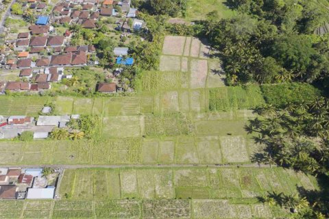 Land in Abiansemal, Badung, Bali (4777) 2