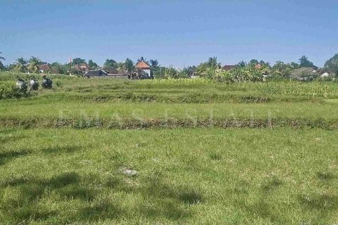 Land in Abiansemal, Badung, Bali (4777) 3