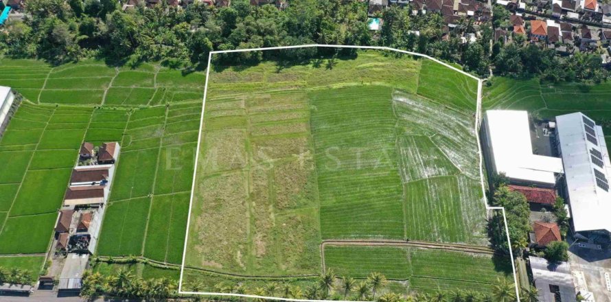 Land in Kediri, Tabanan, Bali (4780)