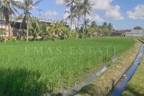Land in Kediri, Tabanan, Bali (4780) 4