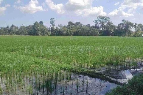 Land in Kediri, Tabanan, Bali (4780) 2