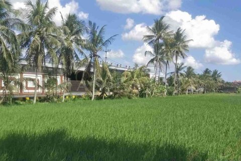 Land in Kediri, Tabanan, Bali (4780) 3