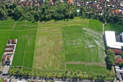 Land in Kediri, Tabanan, Bali (4780) 5
