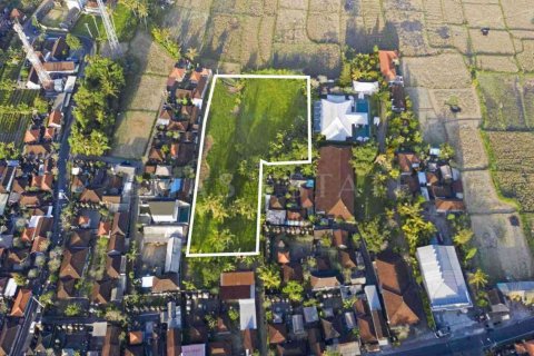 Tanah kavling di Ubud, Gianyar, Bali (4779)