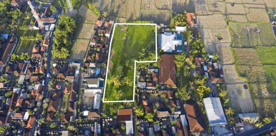 Land in Ubud, Gianyar, Bali (4779)