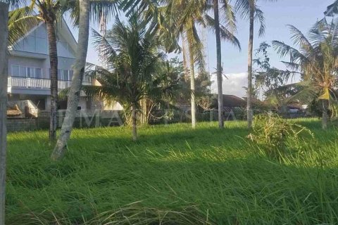 Land in Ubud, Gianyar, Bali (4779) 4