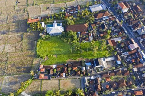 Land in Ubud, Gianyar, Bali (4779) 3