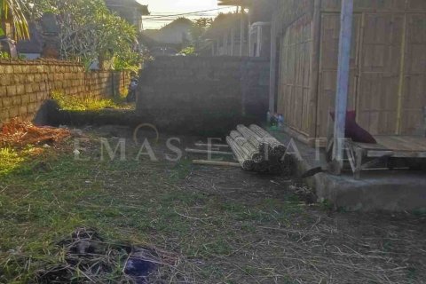 Land in Ubud, Gianyar, Bali (4779) 2