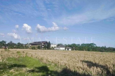 Land in Ubud, Gianyar, Bali (4781) 5
