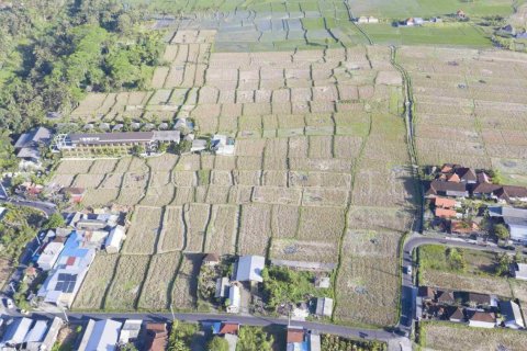 Land in Ubud, Gianyar, Bali (4781) 4