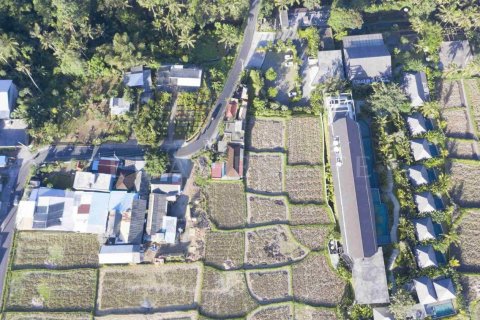 Land in Ubud, Gianyar, Bali (4781) 3