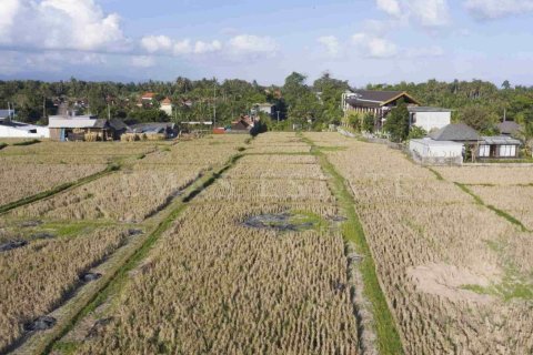 Land in Ubud, Gianyar, Bali (4781) 2
