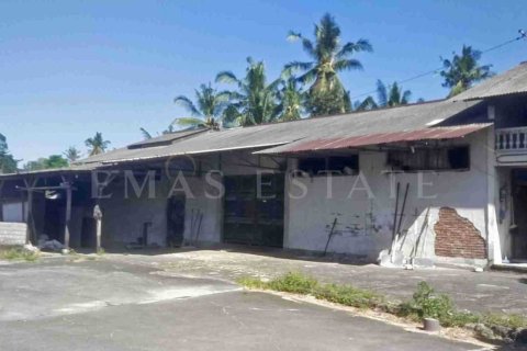 Land in Abiansemal, Badung, Bali (4776) 4