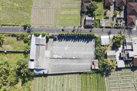 Land in Abiansemal, Badung, Bali (4776) 6