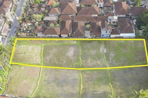 Tanah kavling di Payangan, Gianyar, Bali (4778)