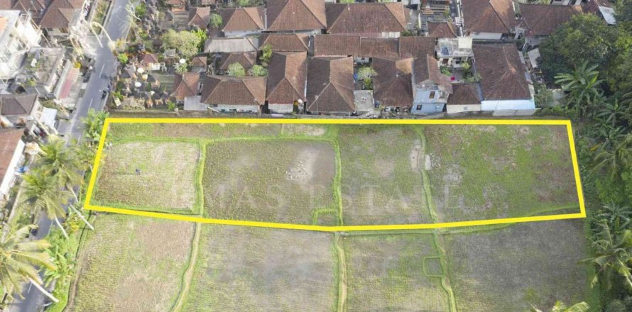 Land in Payangan, Gianyar, Bali (4778)