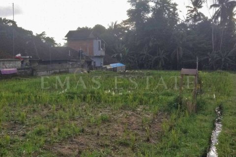 Land in Payangan, Gianyar, Bali (4778) 5