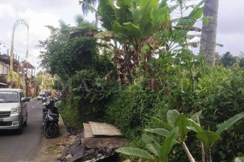 Land in Payangan, Gianyar, Bali (4778) 4