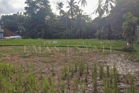 Land in Payangan, Gianyar, Bali (4778) 3