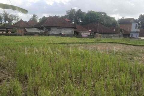 Land in Payangan, Gianyar, Bali (4778) 2