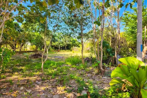 Land in Nusa Dua, Badung, Bali (10743) 4