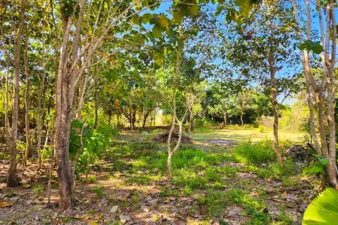 Land in Nusa Dua, Badung, Bali (10743) 2