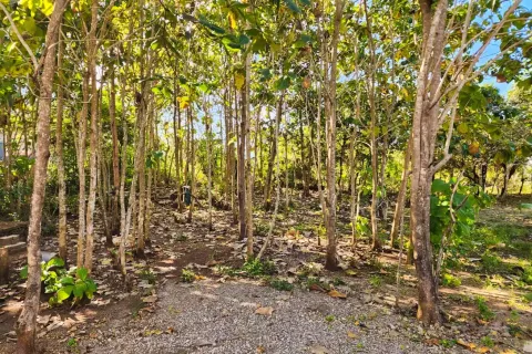 Land in Nusa Dua, Badung, Bali (10743) 7