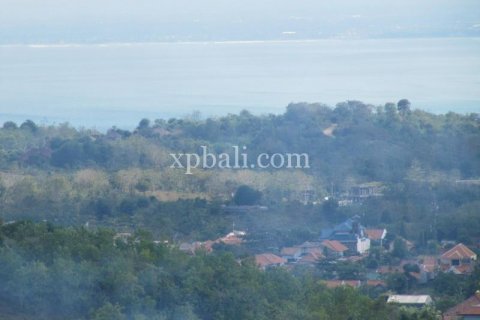 13500m2 Land in South Kuta, Badung, Bali (6024) 2