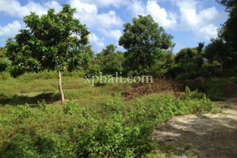 2000m2 Land in South Kuta, Badung, Bali (6027) 2