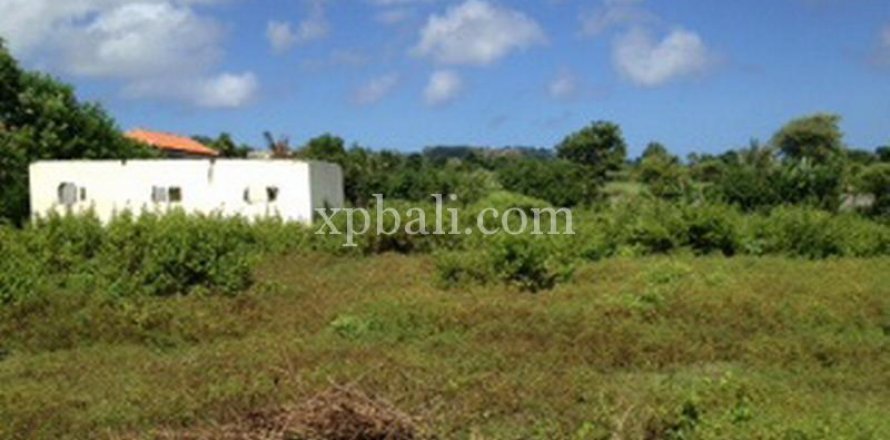 2000m2 Land in South Kuta, Badung, Bali (6027)