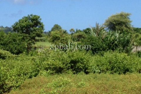 2000m2 Land in South Kuta, Badung, Bali (6027) 3
