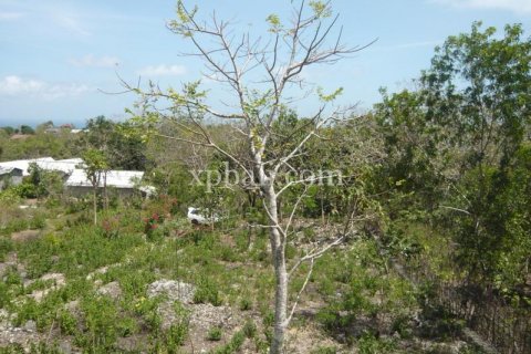 Земельный участок в Южная Кута, Бадунг, Бали (6026) 9