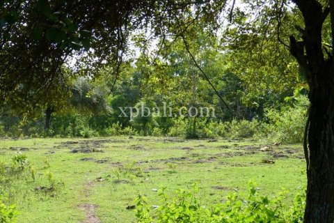 Tanah kavling 5000m2 di Kuta Selatan, Badung, Bali (6028) 7