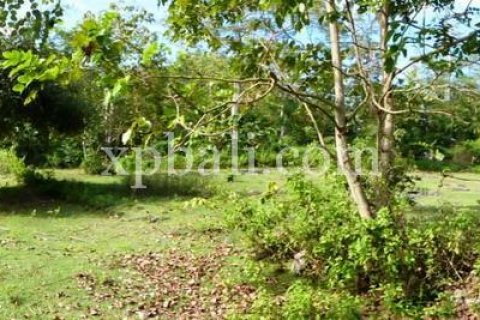 Tanah kavling 5000m2 di Kuta Selatan, Badung, Bali (6028) 5