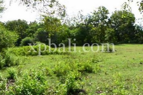 Tanah kavling 5000m2 di Kuta Selatan, Badung, Bali (6028) 6