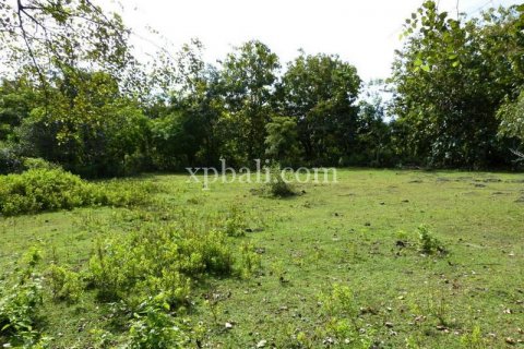 Tanah kavling 5000m2 di Kuta Selatan, Badung, Bali (6028) 4