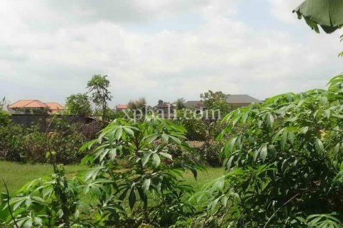Tanah kavling 8600m2 di Seminyak, Badung, Bali (963)