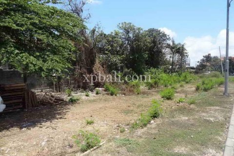 2500m2 Land in Kuta, Badung, Bali (962) 8