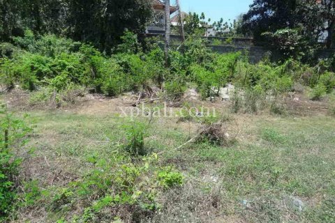 2500m2 Land in Kuta, Badung, Bali (962) 4