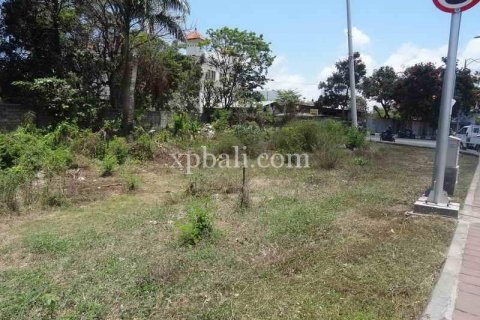 2500m2 Land in Kuta, Badung, Bali (962) 5