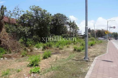 2500m2 Land in Kuta, Badung, Bali (962) 6
