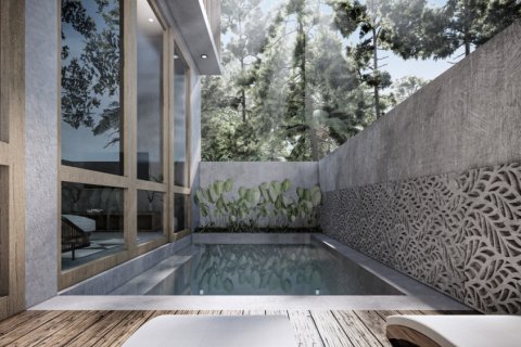 2 bedrooms Villa in Pererenan, Mengwi, Badung, Bali (11841) 18