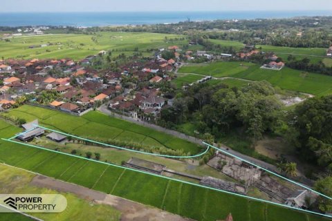 3550m2 Land in Cemagi, Mengwi, Badung, Bali (17149)