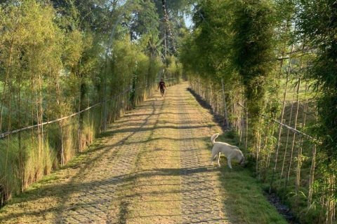 3550m2 Land in Cemagi, Mengwi, Badung, Bali (17149) 8