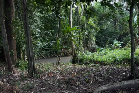 Tanah kavling di Tumbak Bayuh, Mengwi, Badung, Bali (11120)