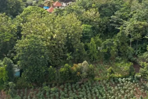 Land in South Kuta, Badung, Bali (11039) 2