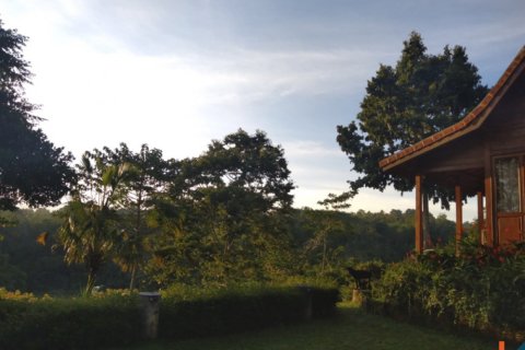 4 bedrooms Villa in Ubud, Gianyar, Bali (11038) 11